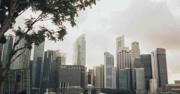 澳洲人工智能：创新进步的引擎