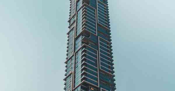 外国语单招大数据的行业文章