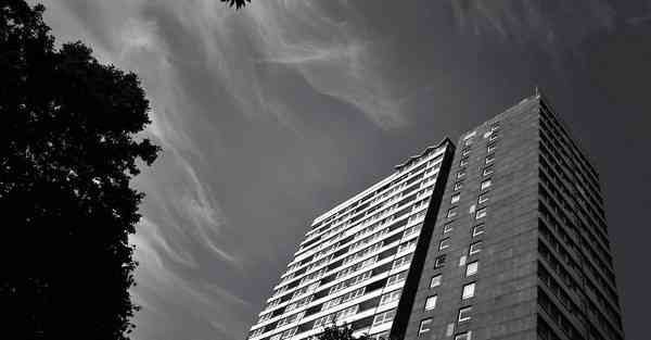 标题：人工智能西瓜：未来果园里的新宠儿