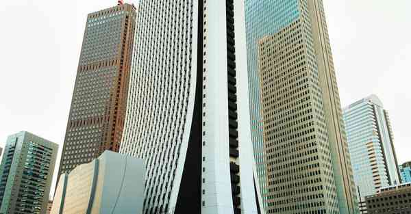 外国语单招大数据的行业文章