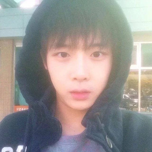 仲孙致竹芬