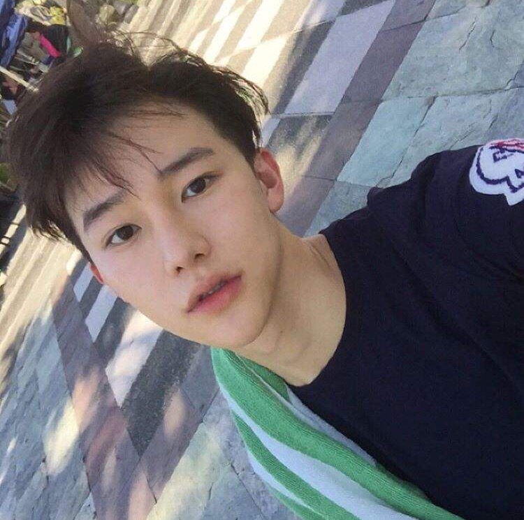 单于卿丹纯