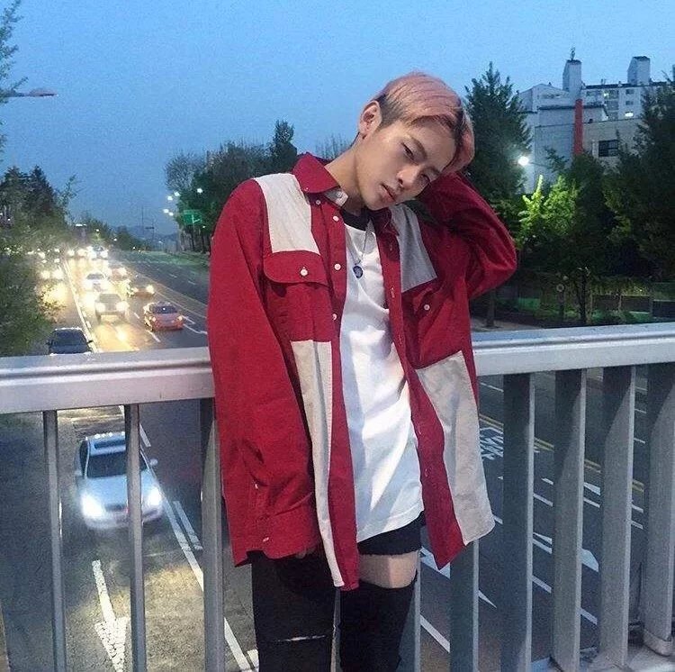 费晴莺晓