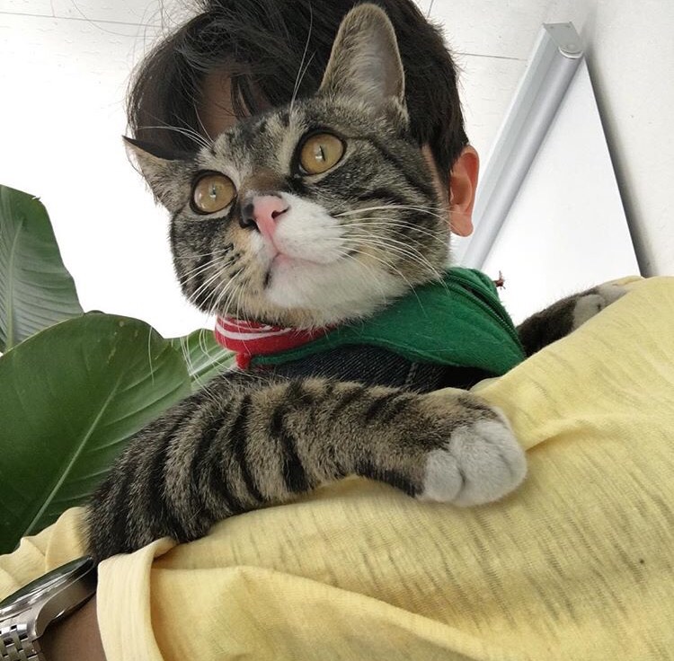 皇甫栋健剑