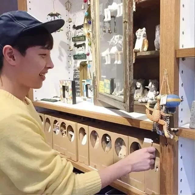连琳力宜