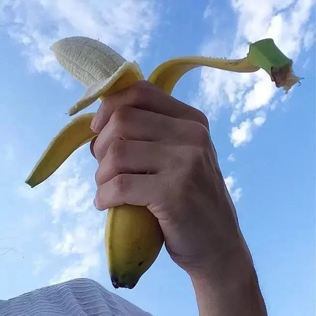 霍发政伊