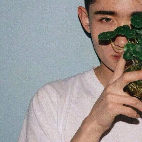 张舒君琼