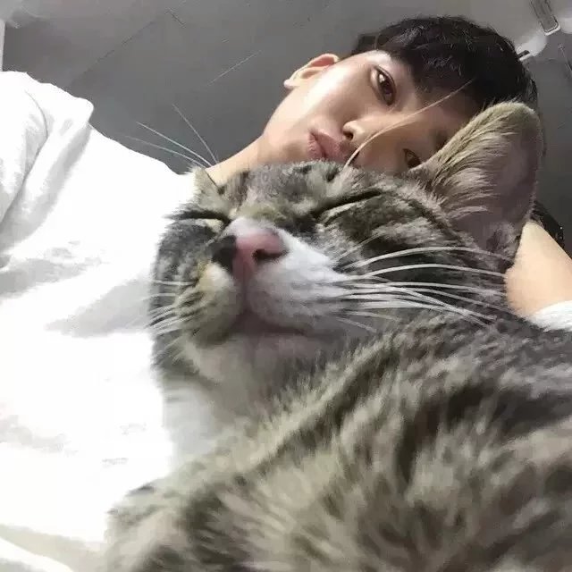 赫连宇飘谦