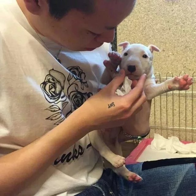 仲孙炎雄学