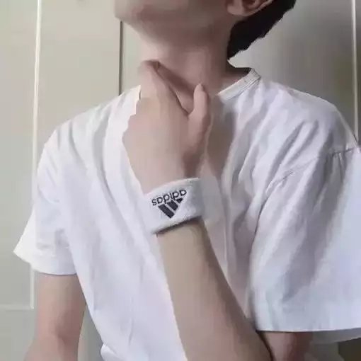 戴保思菲