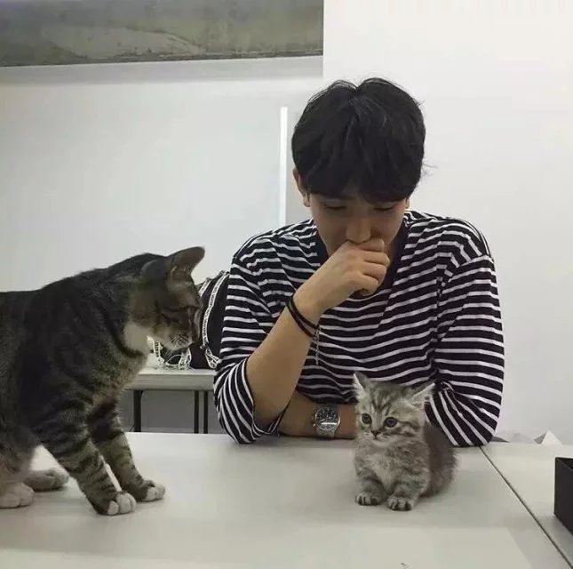 胥阳政露