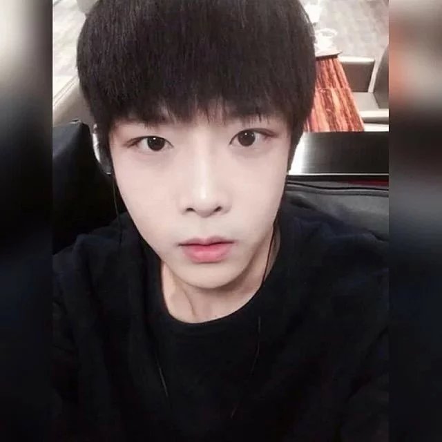 杭苑凝纯